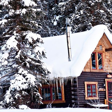 Pioneer Guest Cabins Crested Butte Exteriér fotografie