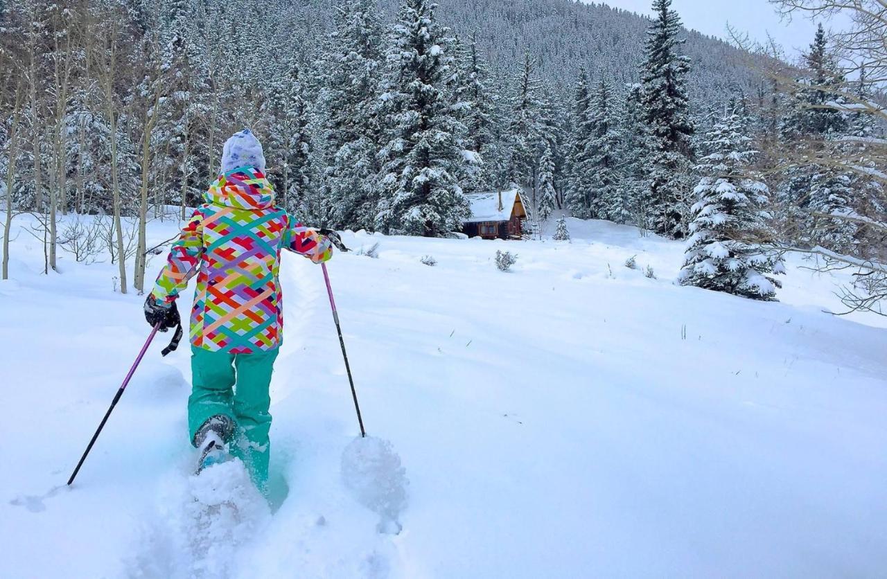 Pioneer Guest Cabins Crested Butte Exteriér fotografie