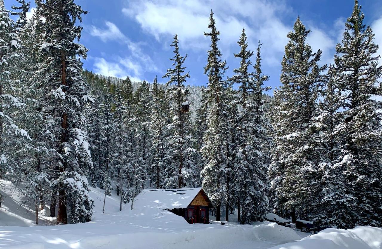 Pioneer Guest Cabins Crested Butte Exteriér fotografie