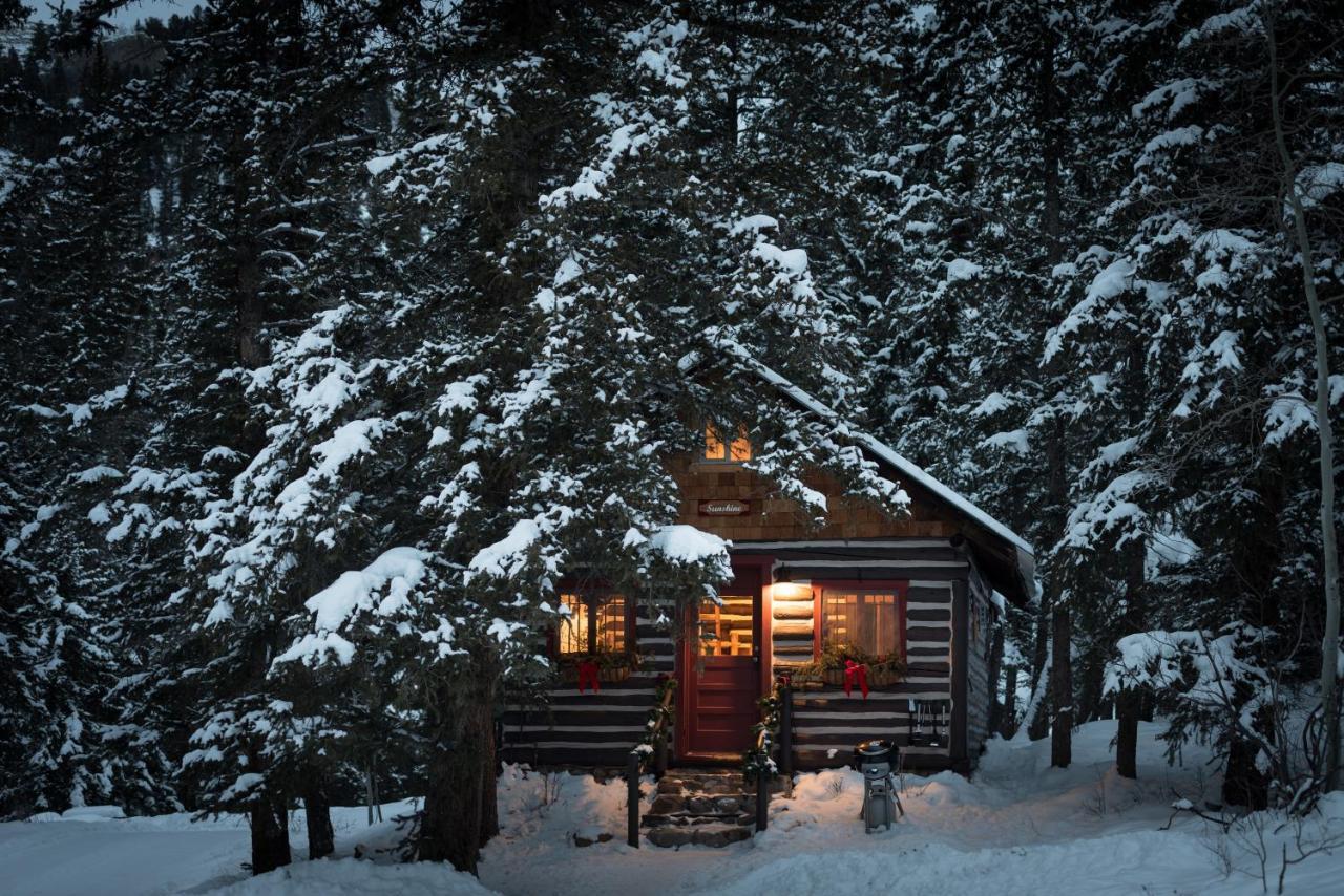 Pioneer Guest Cabins Crested Butte Exteriér fotografie