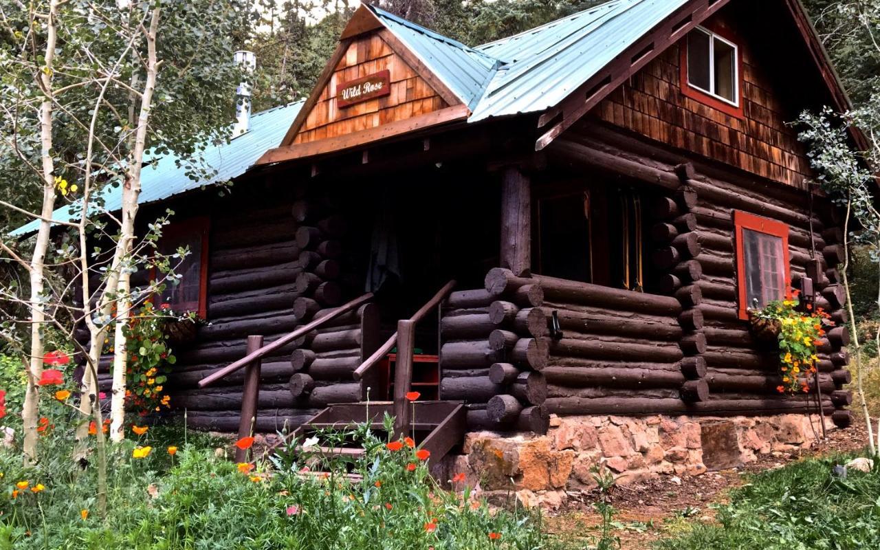 Pioneer Guest Cabins Crested Butte Exteriér fotografie